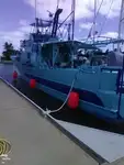 Navio de pesca de arrasto à venda