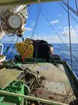 Purse seiner à venda