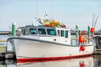 Navio de pesca de cerco à venda