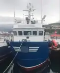 Barcos de trabalho à venda