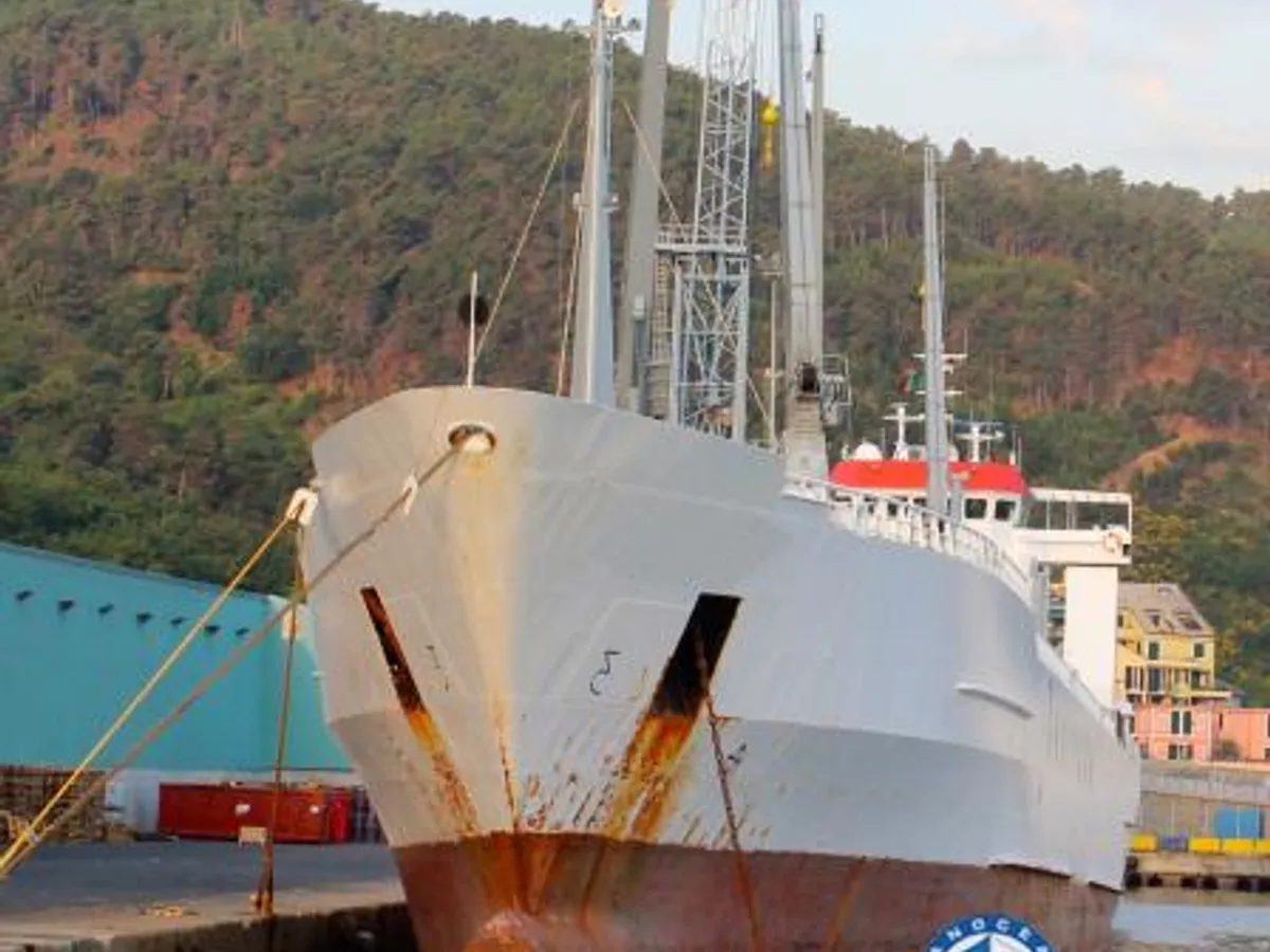 Navio frigorífico à venda