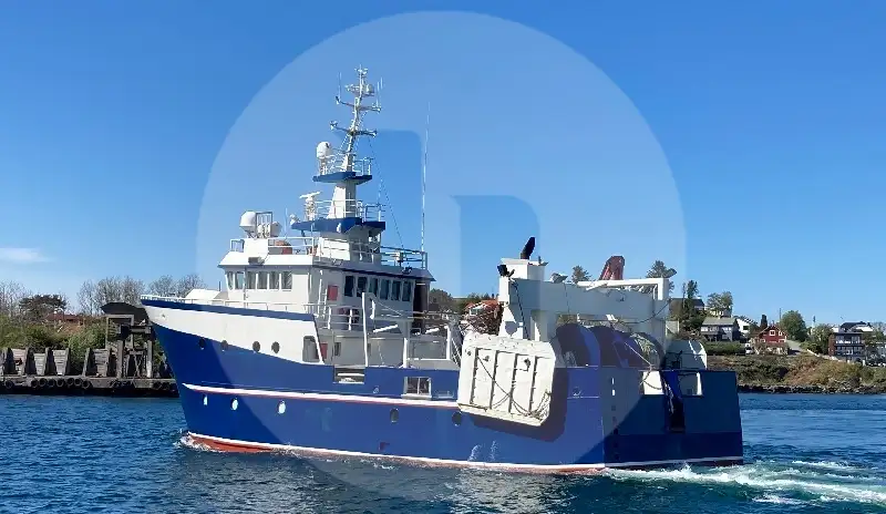 Navio de pesca de arrasto de rede de fundo à venda
