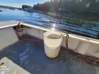 Navio de processamento de peixe à venda