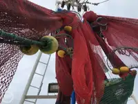 Navio de pesca de arrasto à venda