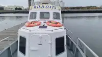 Barcos de trabalho à venda