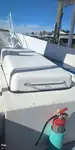 Navio de cruzeiro e ferry à venda