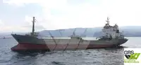 Navio graneleiro à venda