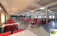 Navio Ro-Ro à venda