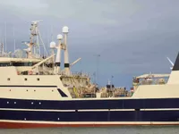 Navio de pesca de arrasto à venda
