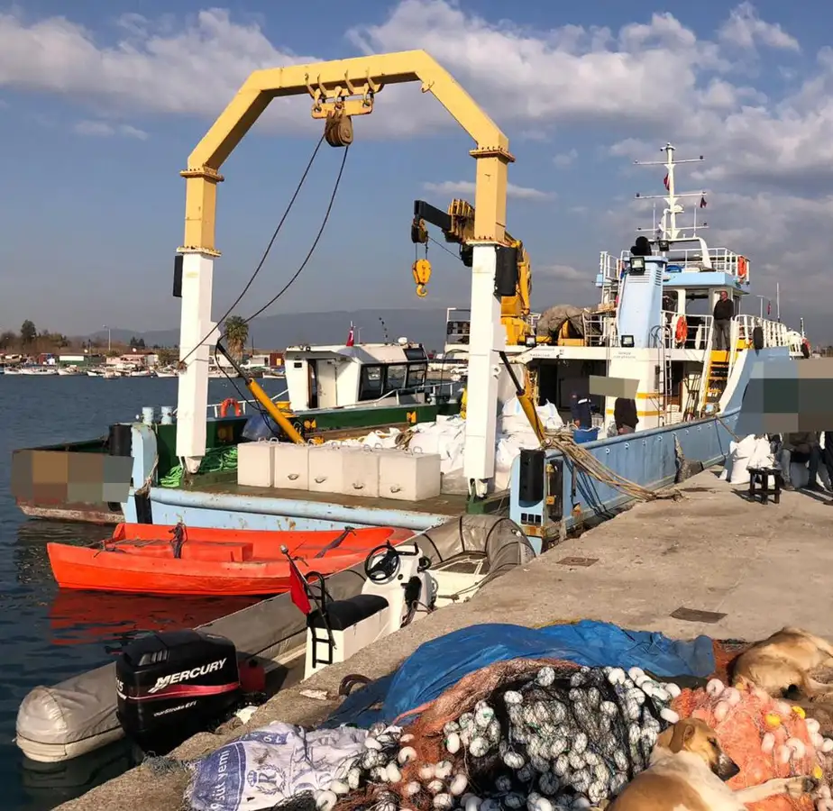 Barcos de trabalho à venda