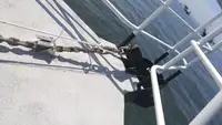 Barco de tripulação à venda