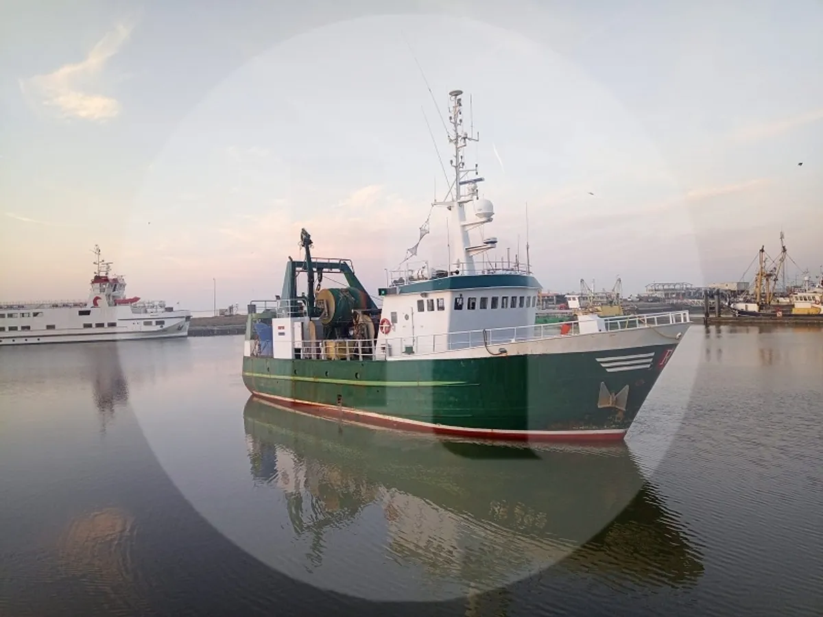 Navio de pesca de arrasto à venda