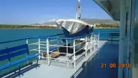 Ro-Ro ship à venda