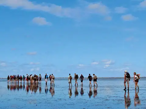 Barcaça à venda