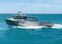 Barcos de trabalho à venda