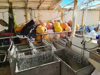 Navio de pesca de linha de mão à venda