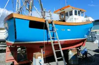 Barcos de trabalho à venda