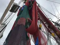 Navio de pesca de arrasto à venda