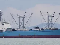Navio frigorífico à venda