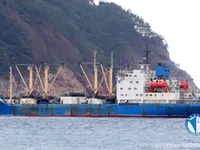 Navio frigorífico à venda