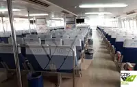 Navio de cruzeiro à venda