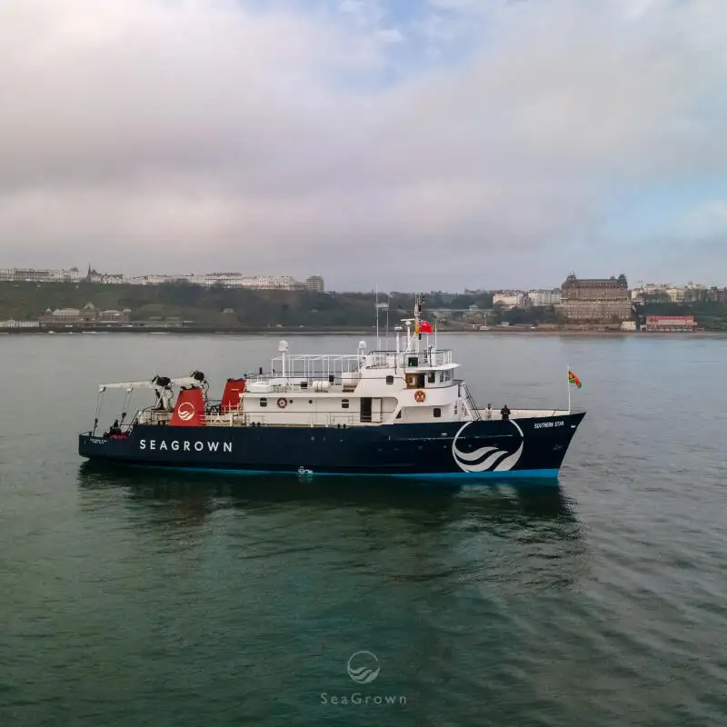 Navio de pesquisa à venda