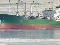 Navio frigorífico à venda