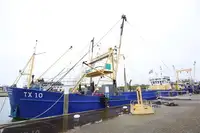 Navio de cruzeiro à venda