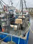 Portador de peixe vivo à venda