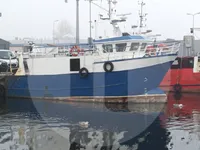 Navio transportador de peixes vivos à venda