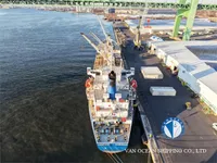 Navio frigorífico à venda