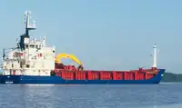 Navio graneleiro à venda