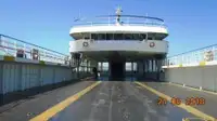 Ro-Ro ship à venda