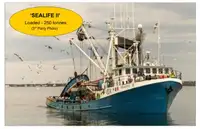 Navio de pesca de cerco à venda