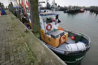 Navio de pesca de arrasto à venda