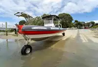 Anfíbio à venda