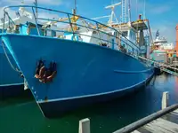 Trawler à venda