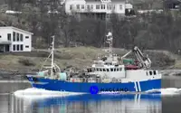 Embarcação de arrastão com rede de cerco à venda