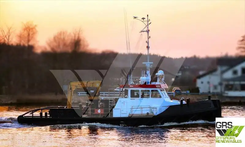 Barcos de trabalho à venda