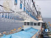 Navio de pesca de lula com anzol à venda