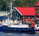 Barcos de trabalho à venda