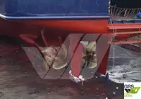 Navio Ro-Ro à venda