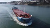 Navio graneleiro à venda