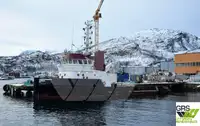 Barcos de trabalho à venda