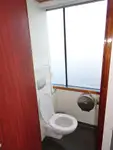Navio de cruzeiro à venda