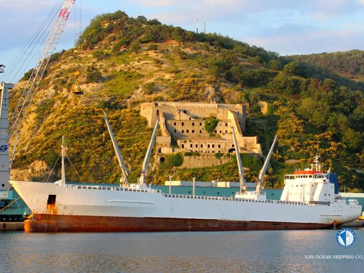 Navio frigorífico à venda