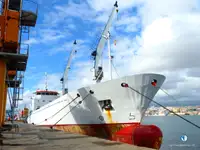 Navio Reefer à venda
