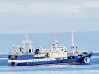 Navio de pesca de arrasto à venda