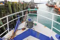 Navio transportador de GNL à venda