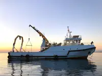 Barcos de trabalho à venda